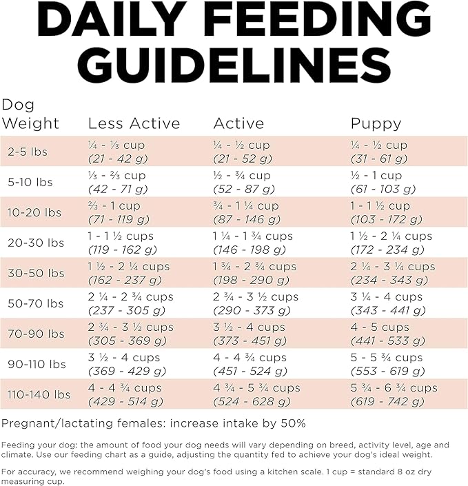 Go! Solutions Digestion + Gut Health Salmon Dry Dog Food, Premium Chicken-Free Kibble for Gastrointestinal & Digestive Wellness, Supports Sensitive Stomachs, for Puppies, Adults & Seniors, 22 lb Bag