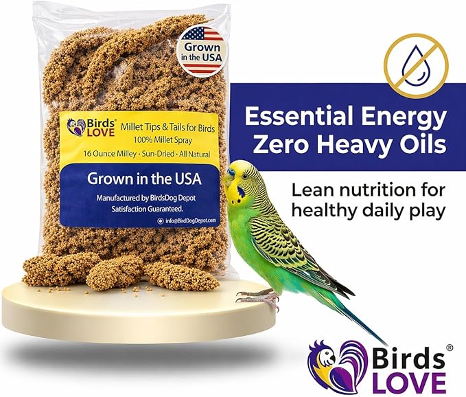 1lb Millet Tips & Tails for Birds - Parakeets, Cockatiels, Lovebirds, Finches, Budgies, Canaries, Cockatoos - Natural & Healthy Millet for Birds - Parakeet Food & Treats for All Parrots (2 Pack)