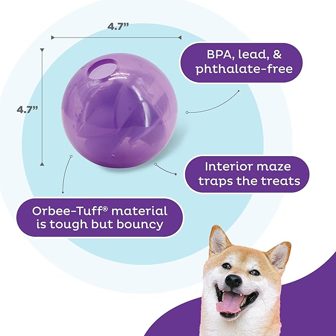 Outward Hound Orbee-Tuff Mazee Interactive Dog Puzzle Toy, Treat Dispensing Slow Feeder Ball, Purple, 4.7-Inch