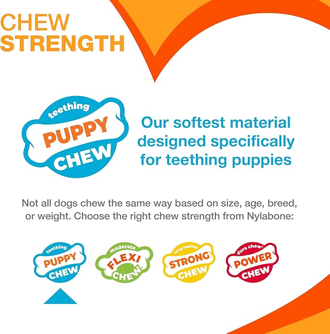 Nylabone Puppy Chew Knuckle Bone - Chewing Toys for Puppies - Puppy Supplies - Chicken Flavor, X-Large, Over 50 Ibs. (1 Count)