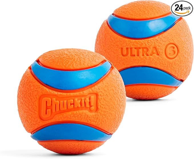 Chuckit! Ultra Ball Dog Toy, Balls for Dogs to Fetch, Durable Rubber, Small 2-inch, Pack of 24