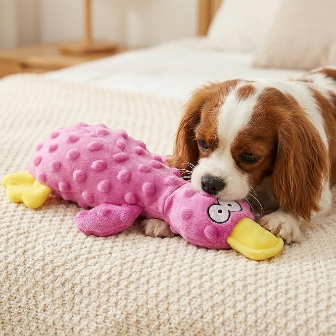 Calming Duck for Dogs, Interactive Squeaky Dog Chew Toy with Built-in Squeaker, Stuffed Duck Dog Squeaky Toy to Keep Them Busy for Small, Medium & Large Dogs Cats