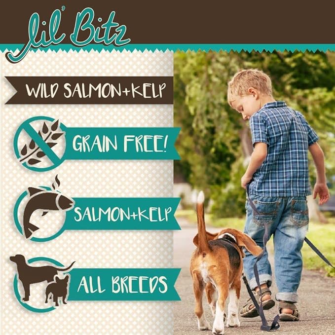 Soft & Chewy Training Treats for Dogs, Bite Size Reward Treats for Training & Positive Reinforcement, Grain Free Dog Treats Made with Wild Salmon & Kelp, Natural Ingredients, All Breeds, 4 oz Bag