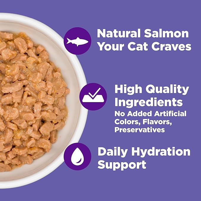 Wellness Complete Health Grilled Adult Canned Wet Cat Food, Natural, Protein Rich, Grain Free, Salmon and Chicken Entrée Recipe, 3 oz, Pack of 12 Cans