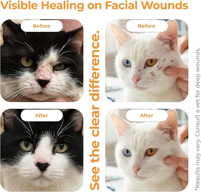 Feline Facial Therapy Solution Healing Aid & Skin Repair for Cat Acne, Eye & Ear Irritations, Chin Sores, Redness & Allergies | Gentle Non-Toxic HOCl Drops | 3.38 fl oz