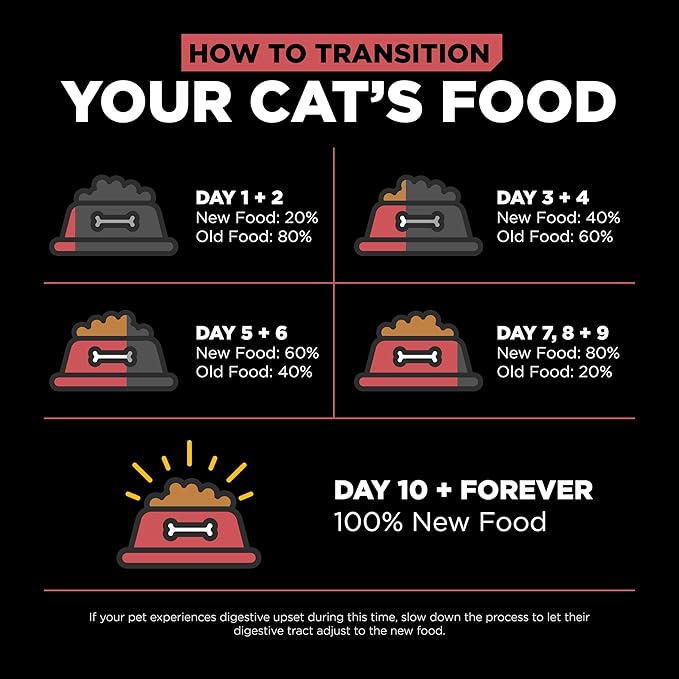 Go! Solutions Sensitivities Limited Ingredient Salmon Grain-Free Dry Cat Food, Chicken-Free Kibble Made by Experts for Sensitive Stomachs & Food Allergies, for Kittens, Adults, & Seniors, 12 lb Bag