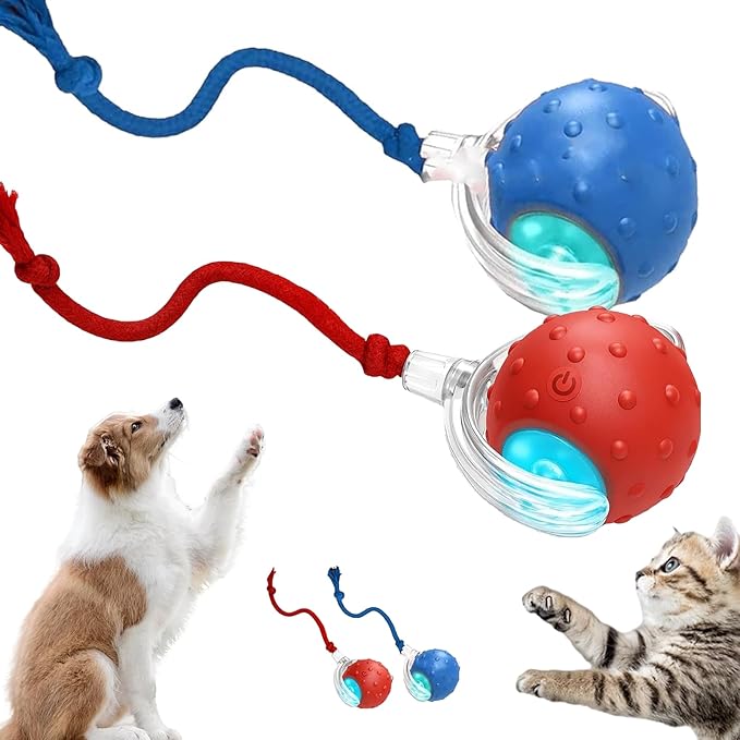 2026 New Dog Toy, Interactive Fast Moving Toys Balls with Birdsong, 360° Smart Automatic Rolling Electric Dog Ball Toy with Rope for Dogs and Cat Indoor Play (Mix)