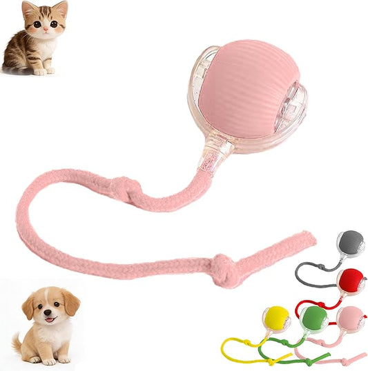 Tiny Fetch Dog Toy, Tiny Fetch Motion Dog Toy with Smart Motion Sensor, Smart Chase Pet Toy Ball for Dogs and Cats, Fun Gifts for People Who Love Cats (Pink)