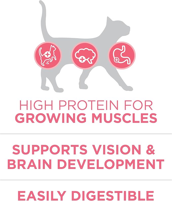 Purina ONE High Protein, Natural Dry Kitten Food, +Plus Healthy Kitten Formula - 3.5 lb. Bag