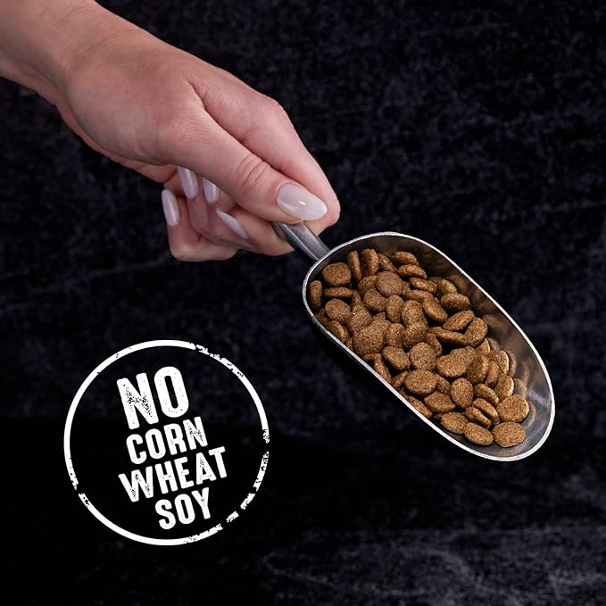 CRAVE Grain Free Adult High Protein Natural Dry Cat Food with Protein from Chicken, 2 lb. Bag