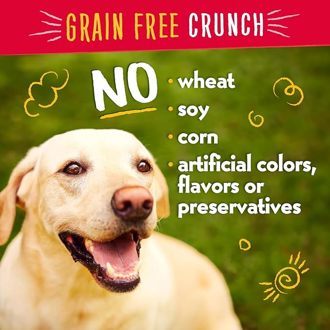 Charlee Bear Crunchy Dog Training Treats, Low Calorie (3 Kcal), Grain Free Natural Mini Treats for Puppies, Small, Medium & Large Dogs, USA Made, Healthy Chicken, Pumpkin & Apple Flavor 8oz (6-Pack)
