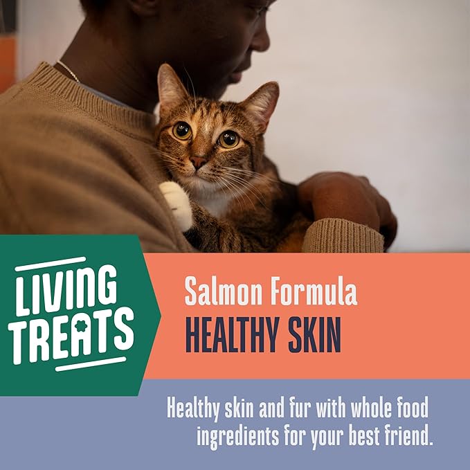 Whole Life Cat Living Treats for Cats – Human Grade Probiotics for Allergy & Itchy Skin Relief, Natural Digestive Support, Healthy Cat Snacks for Felines - Salmon & Yogurt, 1 oz (Pack of 1)