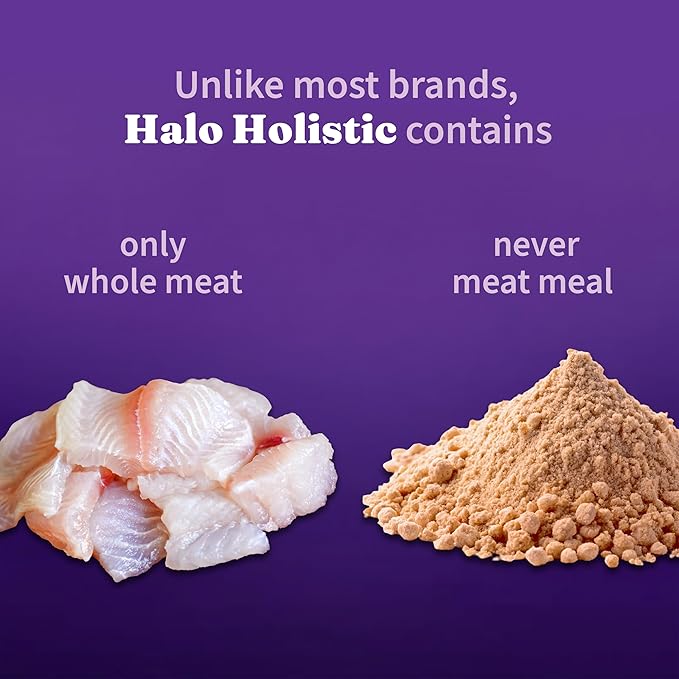 Halo Holistic Cat Food Wild Caught Whitefish Formula, Healthy Grains Dry Cat Food, For Sensitive Stomach Support, Kibble for Adult Cats, 10 lb Bag