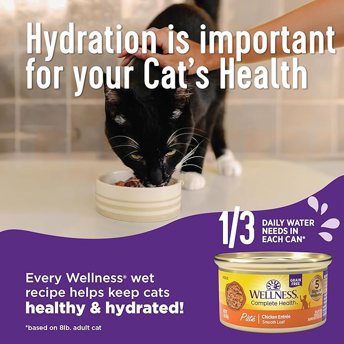 Wellness Complete Health Purrfect Duos Cuts in Gravy Adult Wet Cat Food, Natural, Protein Rich, Grain Free, Chicken and Tuna Dinner Recipe, 2.64 oz, Pack of 12 Split Cups