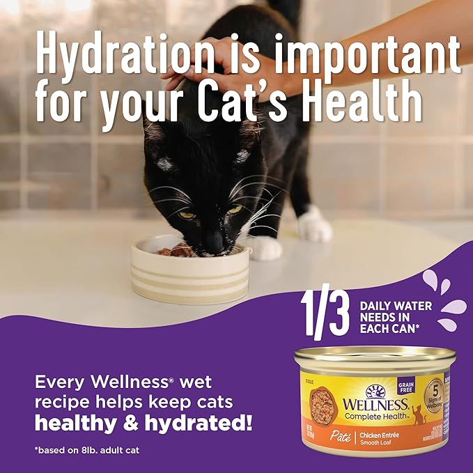 Wellness Complete Health Grilled Adult Canned Wet Cat Food, Natural, Protein Rich, Grain Free, Turkey Dinner Recipe, 3 oz, Pack of 12 Cans