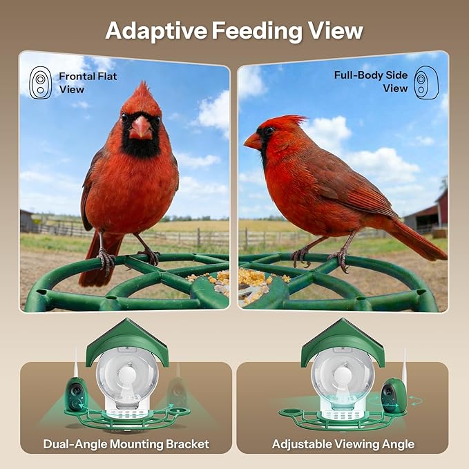Smart Bird Feeder with Camera - 2K HD Smart Bird Feeder, Solar Powered Outdoor Birdhouse with AI Bird Identification for Backyard Birding & Wildlife Bird Watching, Gift for BirdLover (Green)