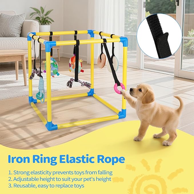 Liitrton Puppy Play Gym - Small Dogs Play Gym with 8 Hanging Toys, Indoor Puppy Jungle Gym with Interactive Dog Enrichment Toys, 19.5"x19.5"x19.5" PVC Frame