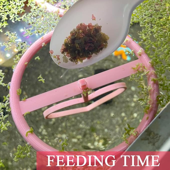 Floating Heart Betta Training Ring, Heart Active Betta Training Floating Ring, Floating Feeder, Betta Loops for Aquarium Decor, Pink, 3.8in x 3.7in (Pink, Single)