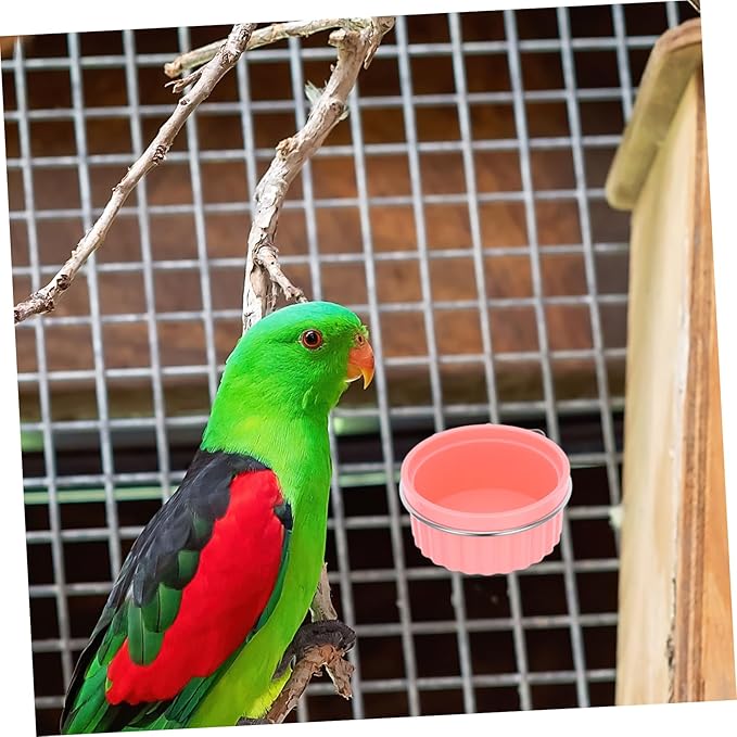 SUPVOX Bird Feeding Dish Cup Stainless Steel Parrot Food Bowl Clamp Holder for Bird Cage Easy to Install and Clean for Parakeets African Conures and Lovebirds