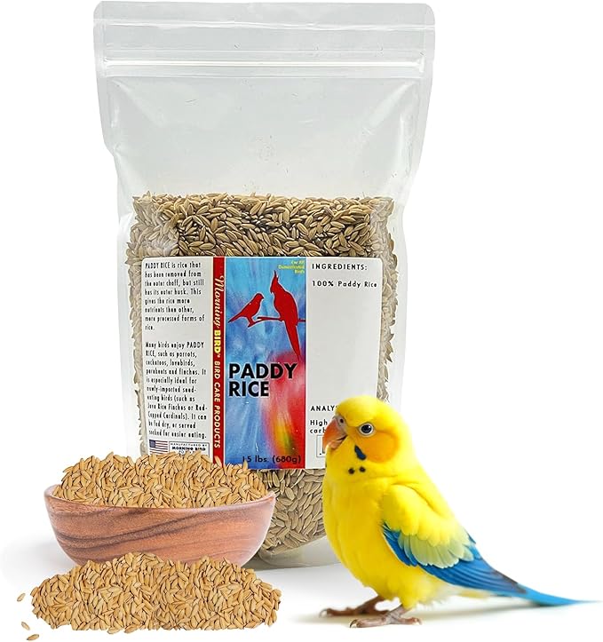 Morning Bird Paddy Rice 1.5 lbs Bird Seed for Health & Nutritious Bird Food – High Fiber with Natural Vitamins and Minerals - Supports Feathers & Immune Defense – Ideal for All Seed Eating Birds