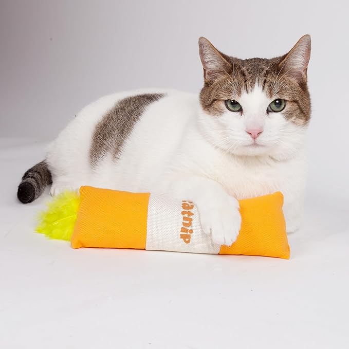 Pet Life ® 'Duffle Feathered' Crinkle Feather and Squeaking Plush Durable Catnip Cat Toy