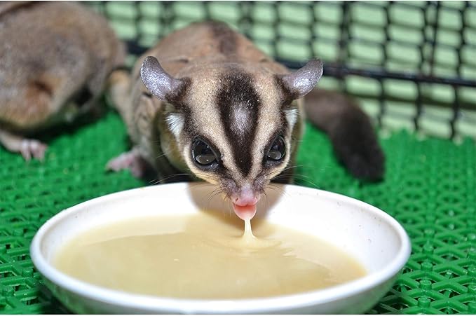 Exotic Nutrition Gliderade Nectar (8 oz.) - Vitamin-Enriched Healthy Nectar Supplement - Powdered Mix - Provides Necessary Carbohydrates for Sugar Gliders
