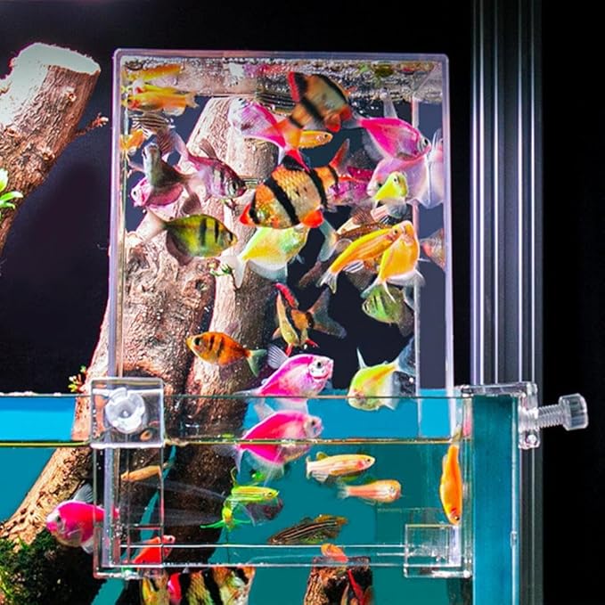 Fish Elevator Inverted Aquarium, Transparent Acrylic Fish Tank, Auto-Refill Water Level Maintenance, Suspended Fish Tank for Aquatic Pets
