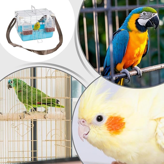 Bird Travel Cage - Portable Small Aviary, Heavy Duty Handle Design, Safe Sturdy Construction, Premium Pet Housing, Top Performance Cage, Cockatiels Budgies Pearl Munias Use 10.63x7.87x7.87 Inches