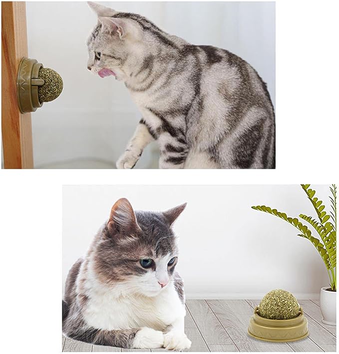 Snacks Catnip Ball Treats Solid
