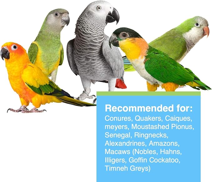 Hari Hagen Tropimix Enrichment Food for Small Parrots, 20 lb. (9.07 kg) - HARI Small Parrot Food with Seeds, Fruit, Nuts, Vegetables, Grains, and Legumes