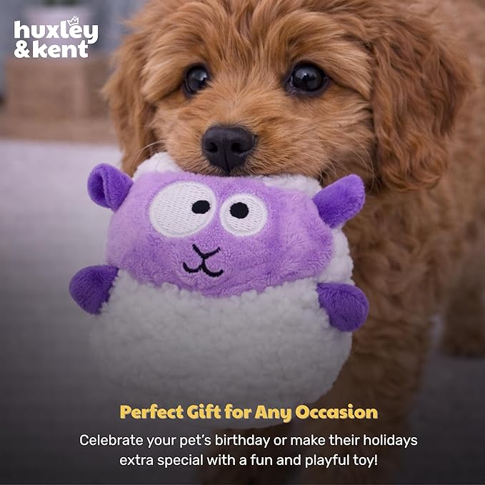 Huxley & Kent Funny Dog Toy w/Squeaker – Power Plush Squeaky Dog Toys for Small Dogs – Durable Small Stuffed Animal for Indoor Play & Fetch - Tiny Tuff Lady Baba