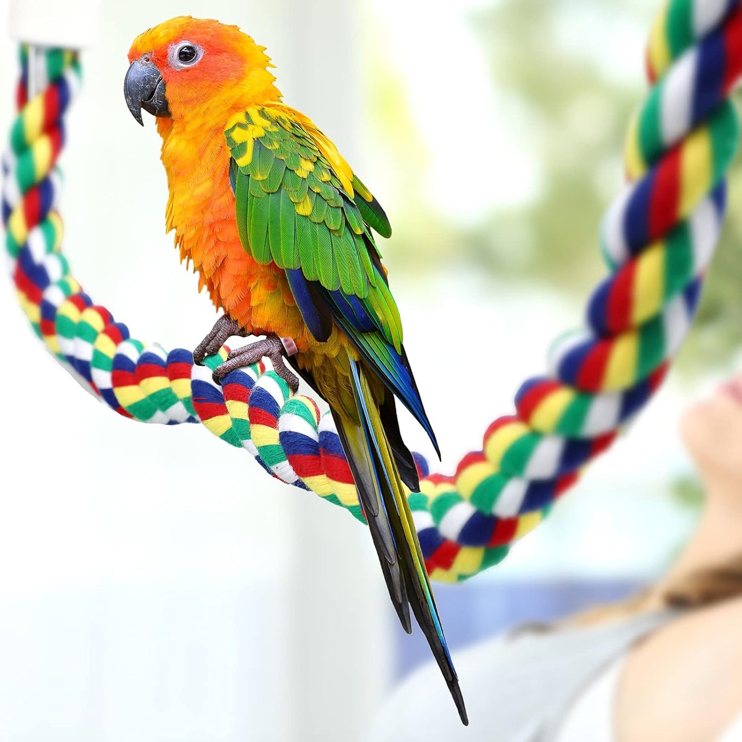 Weewooday 2 Pcs Bird Rope Perches Climbing Rope Bird Cage Accessories for Parrots, Parakeets, Cockatiels, Conures(21.6 Inch)