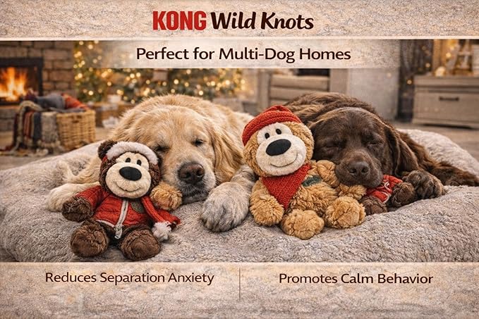 Kong Dog Toys 2-Pack Wild Knots Bears - Durable Plush Squeaker Toys with Internal Rope, Minimal Stuffing, Gift Box for Medium Dogs
