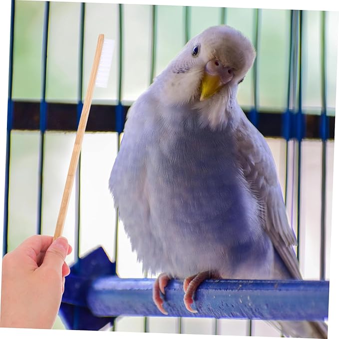 2pcs Efficient Bird Cage Cleaning Set Includes Brush Scoop Cage Accessories Pet Supplies