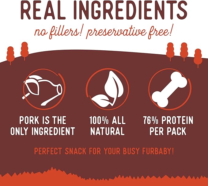 Beg & Barker Pork Jerky for Dogs (10 Ounce, Pack of 2) - Dog Training Treats - Natural Dog Treats Made in The USA - Grain Free, Diabetic-Friendly, High Protein, Sugar-Free