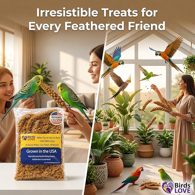 1lb Millet Tips & Tails for Birds - Parakeets, Cockatiels, Lovebirds, Finches, Budgies, Canaries, Cockatoos - Natural & Healthy Millet for Birds - Parakeet Food & Treats for All Parrots (2 Pack)