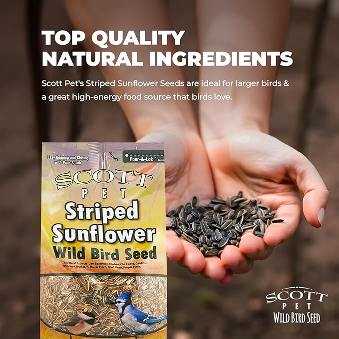 Scott Pet Wild Bird Seed, Striped Sunflower Seeds, 5 lbs Bag, Feed, Great Source of Energy, Food for Outside Wild Birds