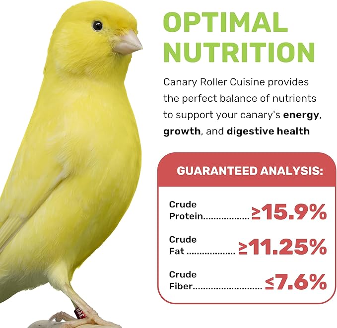 Leach Grain Royal Feeds Canary Roller Cuisine - 20lb Bag