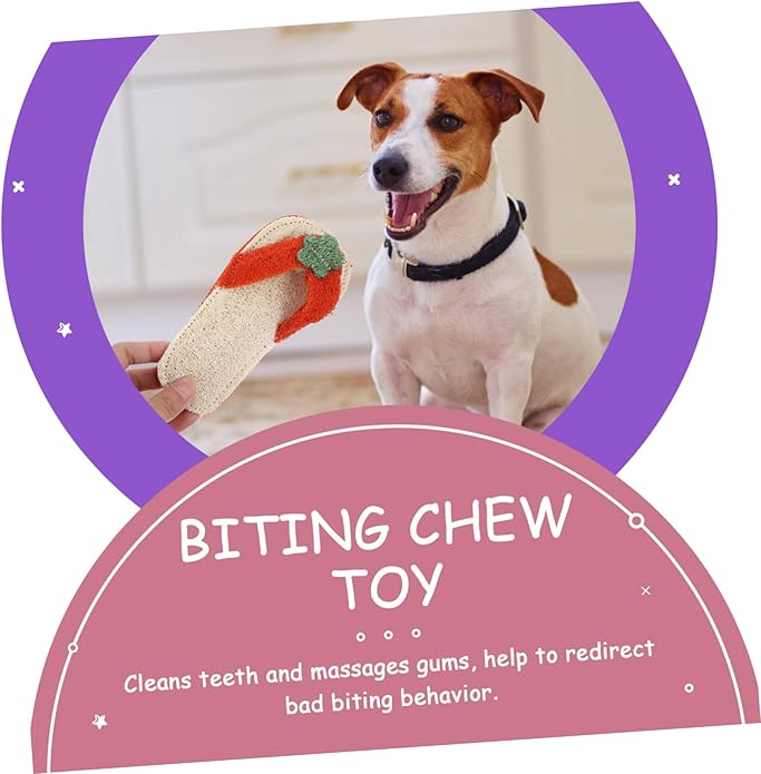 Garneck Loofah Slipper Shaped Pet Chew Toy for Dogs and Cats Molar Toy for Teething Random Oral Care Tool for Healthy Teeth and Gums Fun Pet Plaything