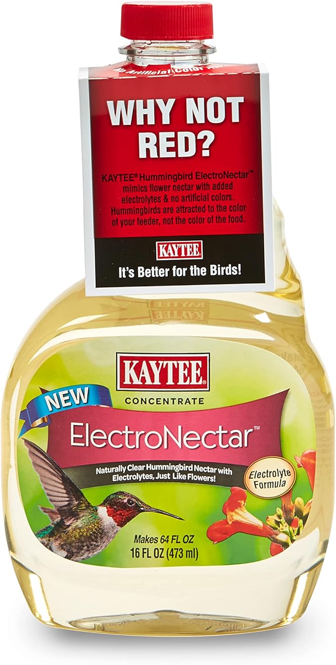 Kaytee ElectroNectar Concentrate for Hummingbirds 16 oz - Pack of 6
