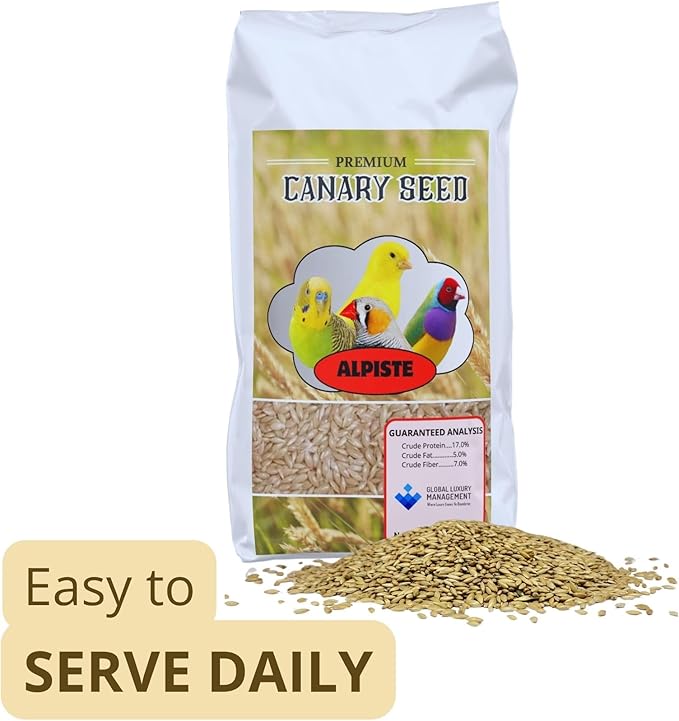 Alpiste Canary Seed 5Lb Bag – Natural Bird Food for Canaries and Small Birds, Finch Food Supports Breeding Growth Digestion Healthy Plumage Bone Strength & Eggshell Formation (5 Lb)