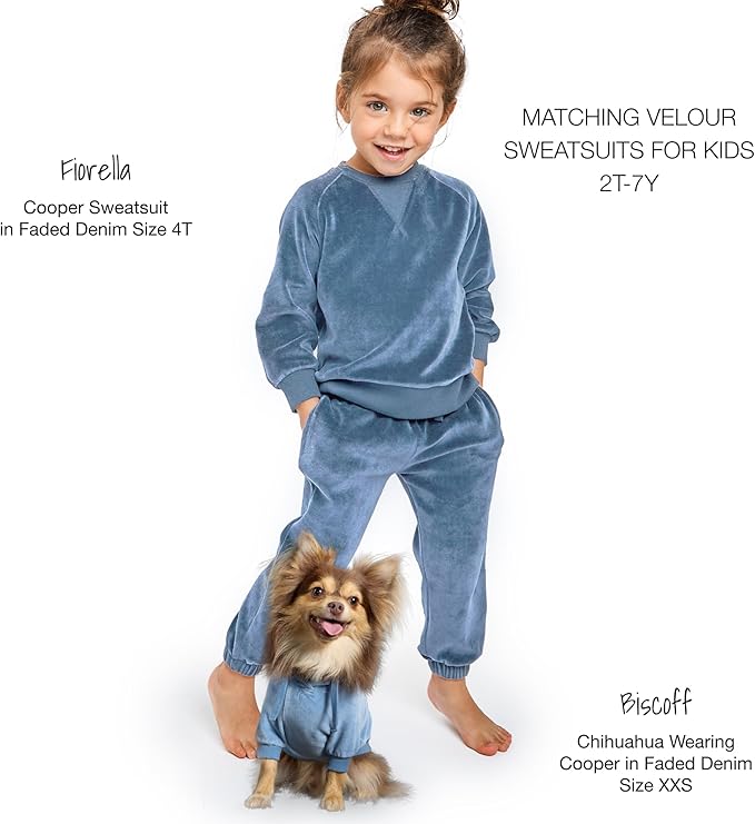 Pet Passion Cooper II Organic Cotton Velour Dog Hoodie Pet Coat for Small, Medium and Large Dogs, Faded Denim, XX-Large (70-110 lbs)
