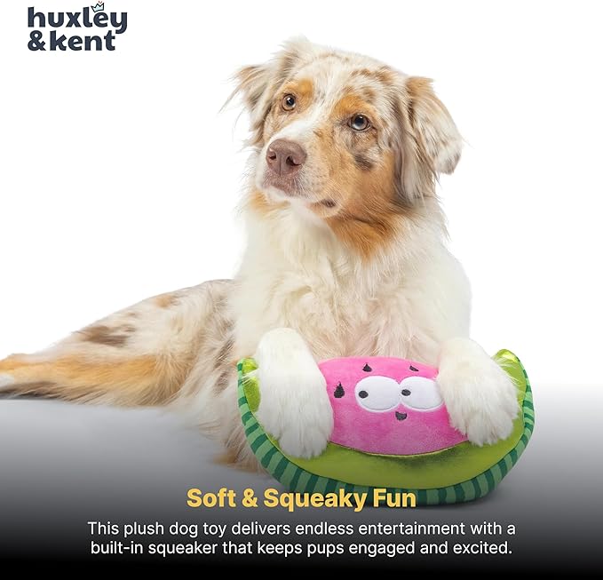 Huxley & Kent Funny Dog Toy w/Squeaker – Power Plush Squeaky Dog Toys for Small, Medium & Large Dogs – Soft Stuffed Animal for Indoor Play & Fetch - Fetchies® Walter Melon, Small