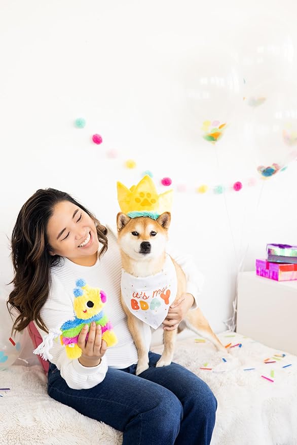 Pearhead Puppy Piñata Dog Toy, Cinco de Mayo Dog Toy with Rope Tug and Crinkle Plush, Interactive Chew Toy for Dogs, Everyday Play Gift