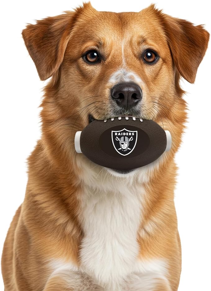 NFL Las Vegas Raiders Football Treat Dispensing Toy for Dogs and Cats - Interactive Rubber Ball for Feeding and Fun