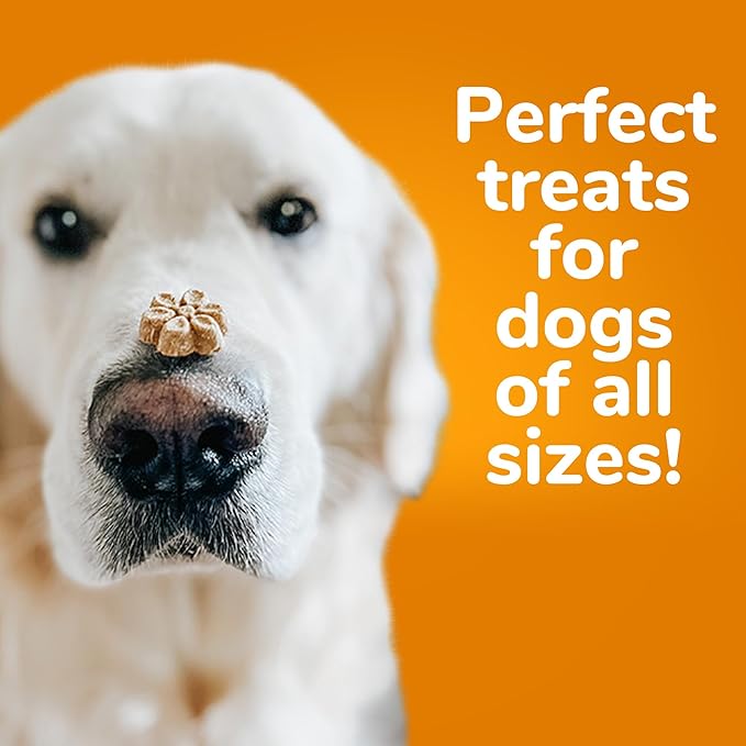 Fruitables Baked Dog Treats, Healthy Pumpkin Treat for Dogs, Low Calorie & Delicious, Free of Wheat, Corn and Soy, Made in the USA, Apple and Crispy Bacon Flavor, 12oz (Pack of 2)