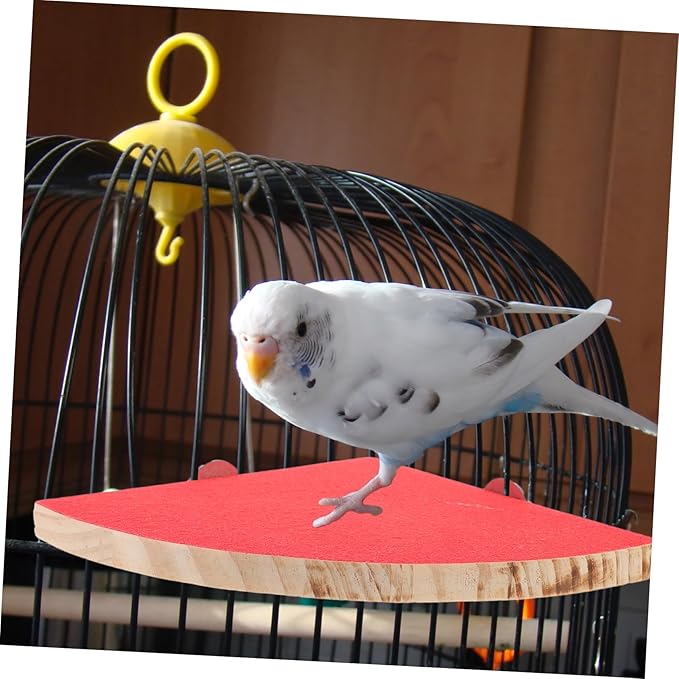 POPETPOP Fan Shape Frosted Wooden Pet Cage Platform Small Pet for Parrots Hamsters Squirrels Durable Chew Decoration Supplies Random Color