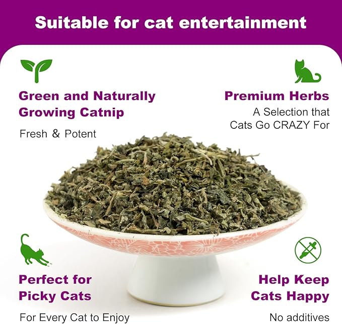 Organic 100% Natural Catnip Cattle Grass Mint Taste Funny Cat Toy New Cat Toy Interactive Cat Toys Pet Supplies