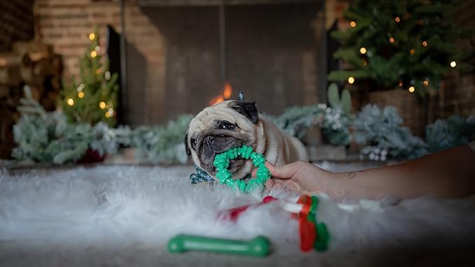 Nylabone Textured Ring Power Chew Toy for Dogs, Dog Toys for Aggressive Chewers, Winter Green Flavor, Small - Up to 25 lbs, 1 Count (Pack of 2)