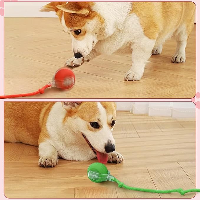 New Interactive Rolling Dog Ball, 360° Smart Interactive Pet Toy Ball, Self Rolling Dog Ball Toys, Electric Balls for Small Medium Dogs Cats (Red&Grey 2PCS/Set)